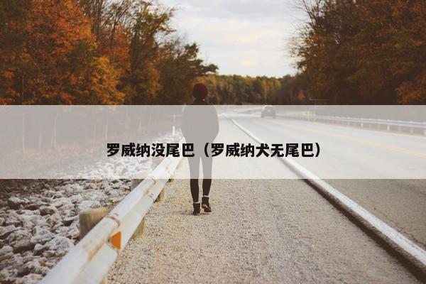 罗威纳没尾巴(罗威纳犬无尾巴)