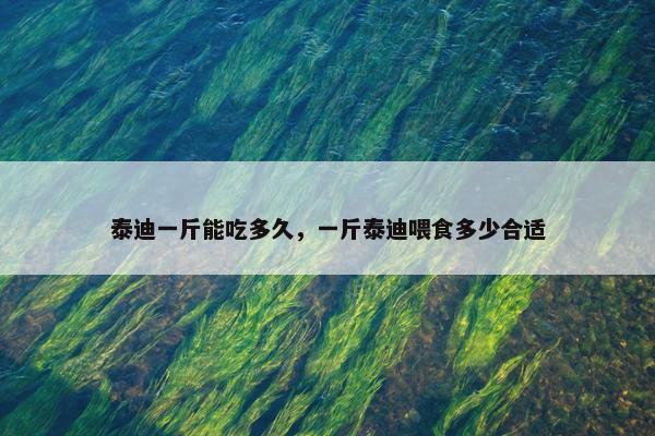 泰迪一斤能吃多久,一斤泰迪喂食多少合适