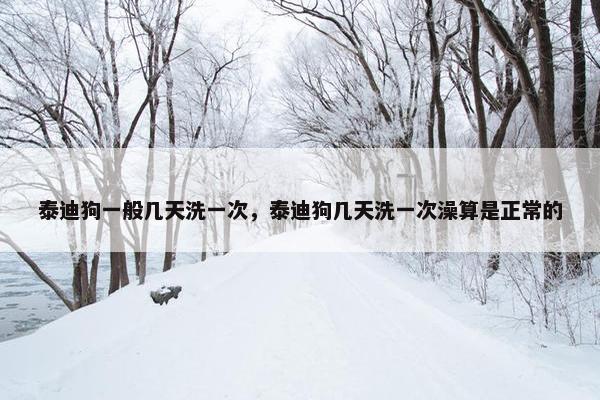 泰迪狗一般几天洗一次,泰迪狗几天洗一次澡算是正常的