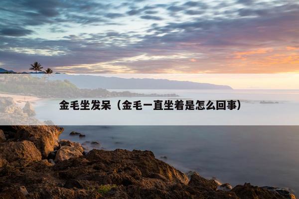 金毛坐发呆(金毛一直坐着是怎么回事)