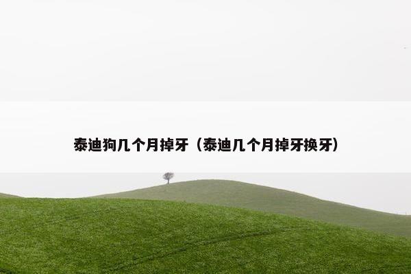 泰迪狗几个月掉牙(泰迪几个月掉牙换牙)