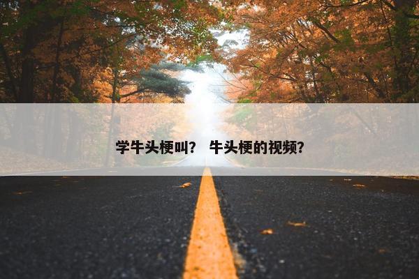 学牛头梗叫? 牛头梗的视频?