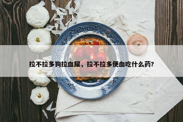 拉不拉多狗拉血屎，拉不拉多便血吃什么药?