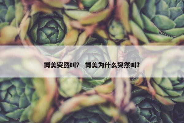 博美突然叫? 博美为什么突然叫?