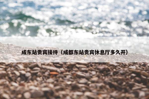 成东站贵宾接待(成都东站贵宾休息厅多久开)