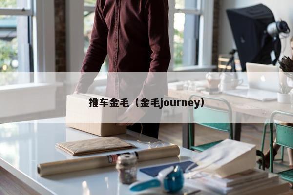 推车金毛(金毛journey)
