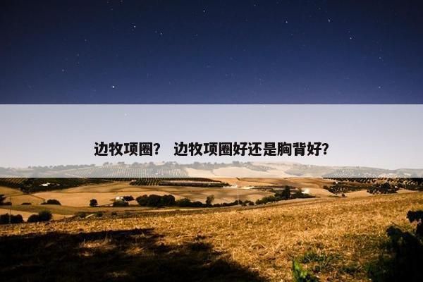 边牧项圈？ 边牧项圈好还是胸背好？