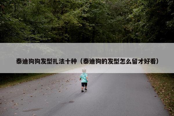 泰迪狗狗发型扎法十种(泰迪狗的发型怎么留才好看)