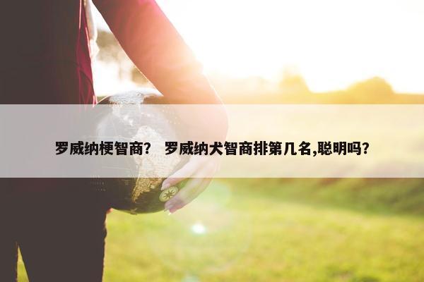 罗威纳梗智商? 罗威纳犬智商排第几名,聪明吗?