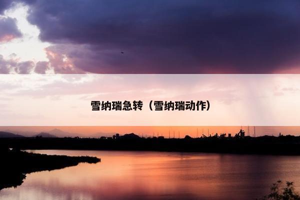 雪纳瑞急转(雪纳瑞动作)