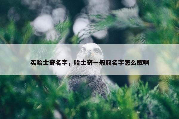 买哈士奇名字,哈士奇一般取名字怎么取啊