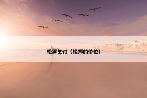 松狮乞讨（松狮的价位）