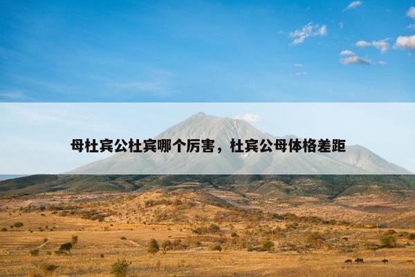 母杜宾公杜宾哪个厉害,杜宾公母体格差距