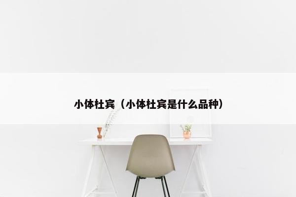 小体杜宾(小体杜宾是什么品种)