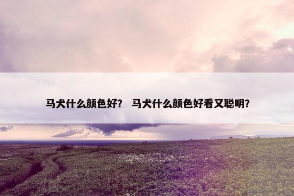 马犬什么颜色好? 马犬什么颜色好看又聪明?