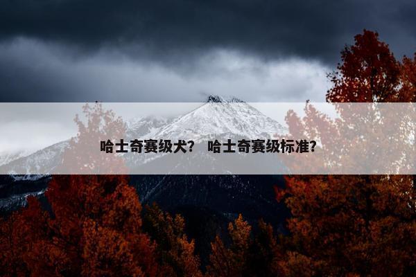 哈士奇赛级犬? 哈士奇赛级标准?