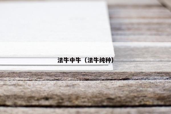 法牛中牛(法牛纯种)