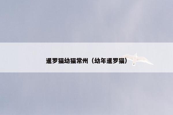 暹罗猫幼猫常州(幼年暹罗猫)