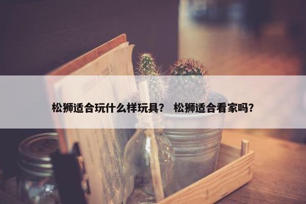 松狮适合玩什么样玩具？ 松狮适合看家吗？