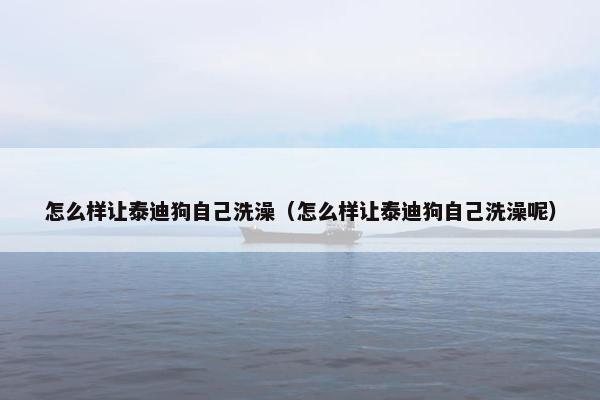 怎么样让泰迪狗自己洗澡(怎么样让泰迪狗自己洗澡呢)