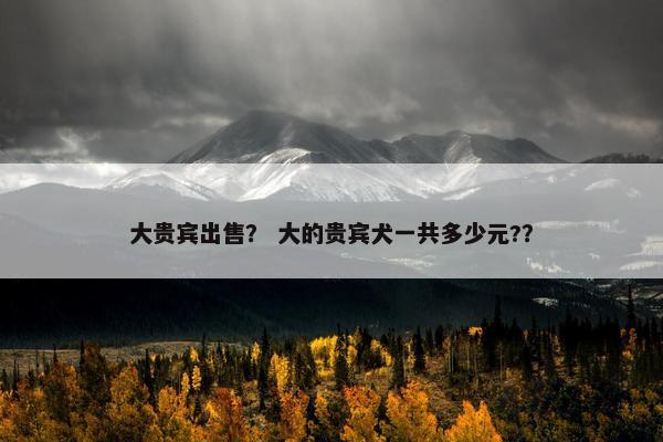 大贵宾出售? 大的贵宾犬一共多少元??