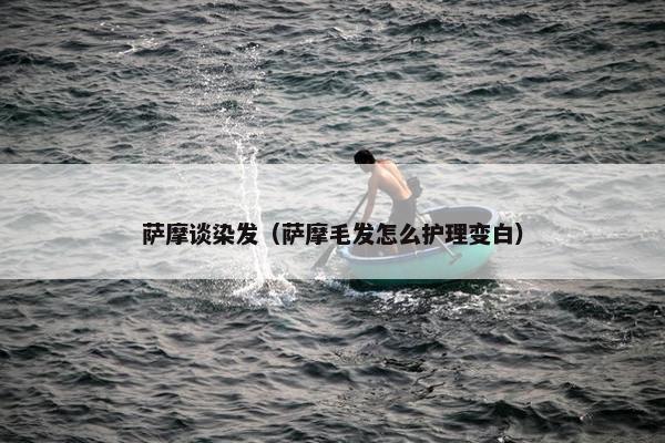 萨摩谈染发(萨摩毛发怎么护理变白)