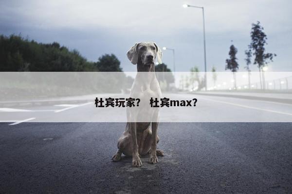 杜宾玩家? 杜宾max?