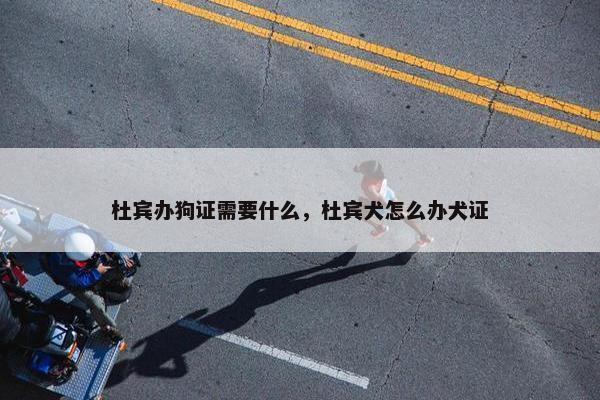 杜宾办狗证需要什么,杜宾犬怎么办犬证