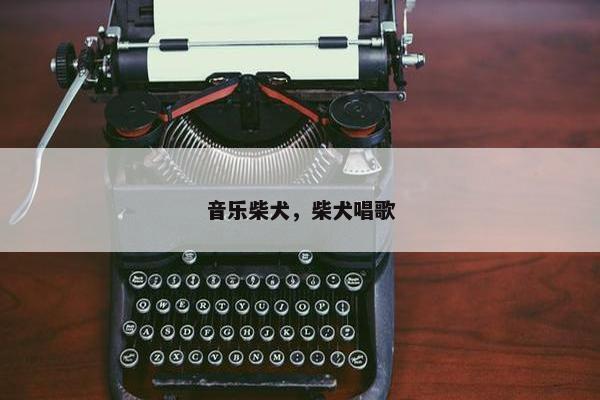 音乐柴犬,柴犬唱歌