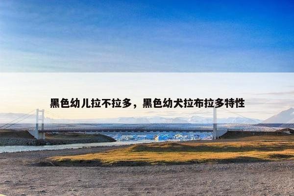 黑色幼儿拉不拉多,黑色幼犬拉布拉多特性