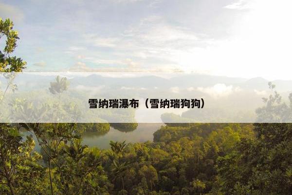 雪纳瑞瀑布(雪纳瑞狗狗)