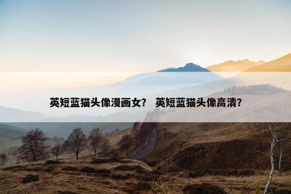 英短蓝猫头像漫画女? 英短蓝猫头像高清?