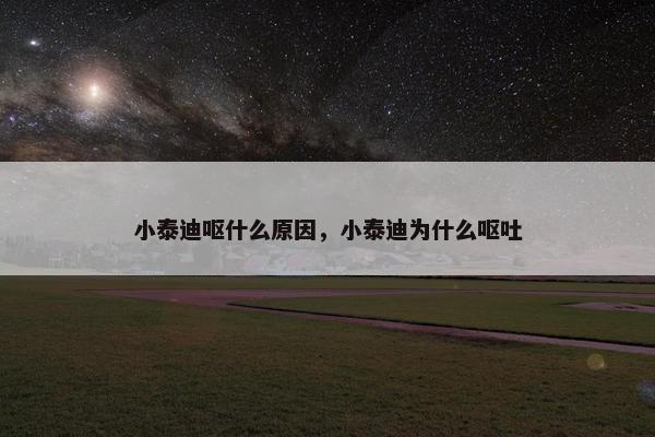 小泰迪呕什么原因,小泰迪为什么呕吐