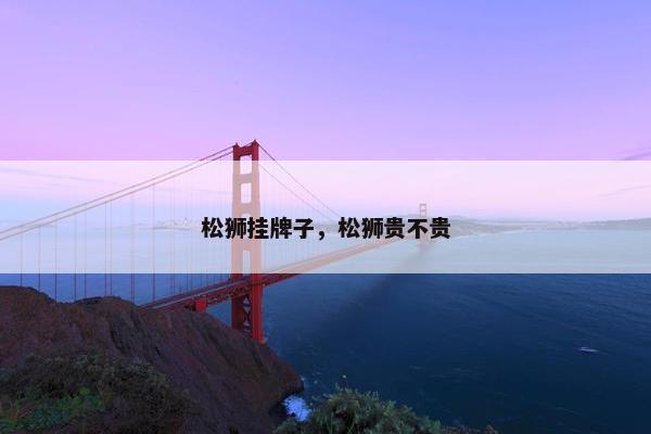 松狮挂牌子，松狮贵不贵