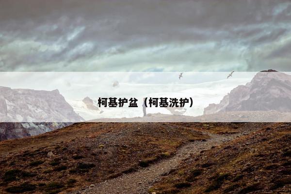 柯基护盆(柯基洗护)
