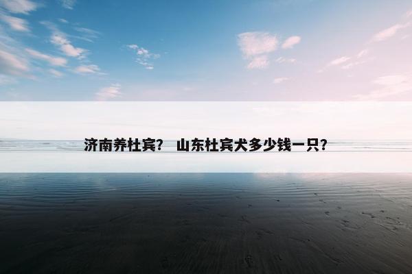 济南养杜宾? 山东杜宾犬多少钱一只?