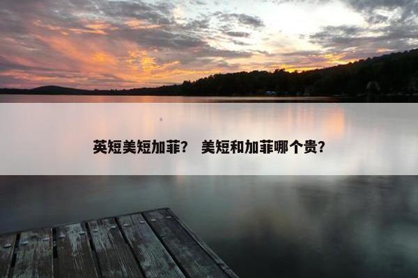 英短美短加菲? 美短和加菲哪个贵?