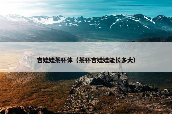 吉娃娃茶杯体(茶杯吉娃娃能长多大)