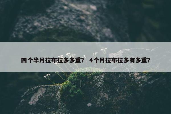 四个半月拉布拉多多重? 4个月拉布拉多有多重?