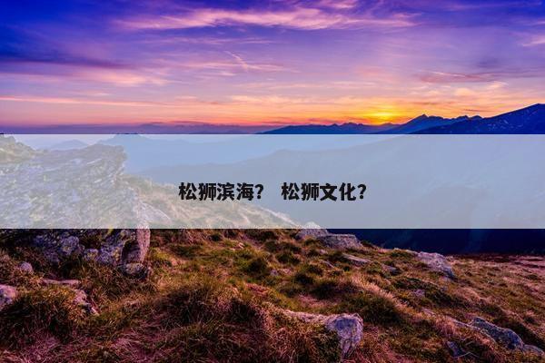 松狮滨海? 松狮文化?