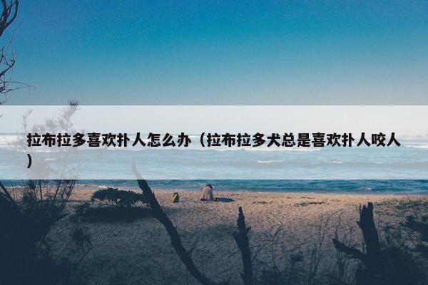 拉布拉多喜欢扑人怎么办(拉布拉多犬总是喜欢扑人咬人)