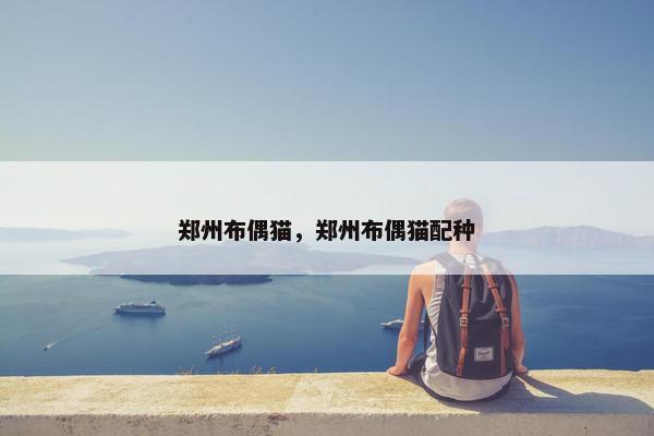 郑州布偶猫,郑州布偶猫配种