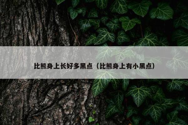 比熊身上长好多黑点(比熊身上有小黑点)