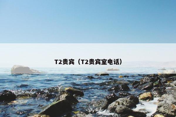 T2贵宾(T2贵宾室电话)