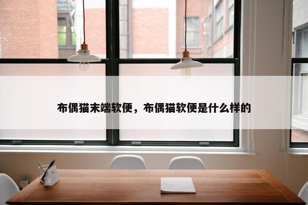 布偶猫末端软便,布偶猫软便是什么样的
