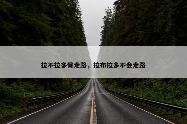 拉不拉多懒走路,拉布拉多不会走路