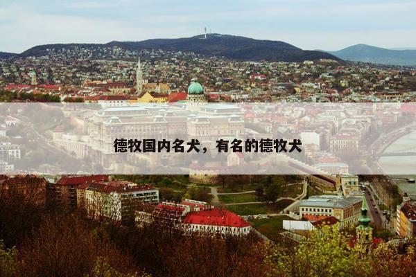 德牧国内名犬,有名的德牧犬