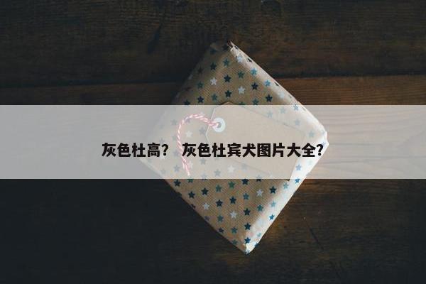 灰色杜高? 灰色杜宾犬图片大全?