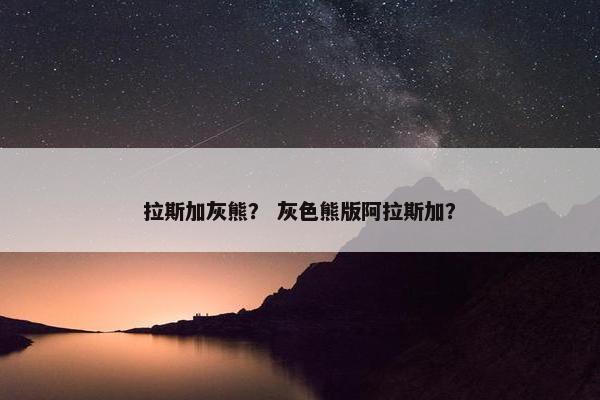 拉斯加灰熊? 灰色熊版阿拉斯加?