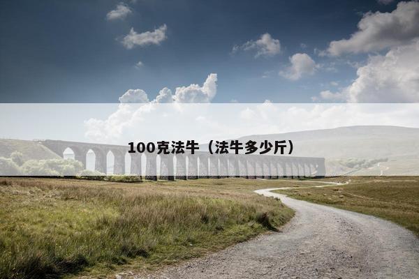 100克法牛(法牛多少斤)